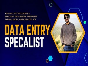 An Accurate & Efficient Data Entry. Web Research, Excel, Copy & Paste, PDF