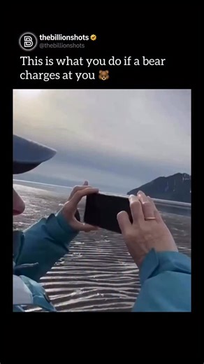 The Billion Shots™ on Instagram: "If a bear charges at you, your response should depend on the type of bear and the nature of the charge. For both black bears and grizzly bears, a charge can be either a bluff or an actual attack, so the first step is to stand your ground and not run-running can trigger the bear’s predatory instincts. If it’s a bluff charge, the bear may stop short or veer off. In that moment, remain still, speak calmly, and slowly back away without turning your back. If the bear