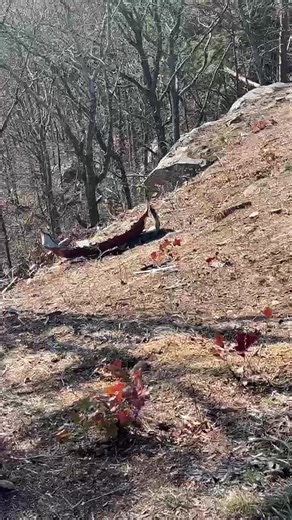 WDEF News 12 on Reels