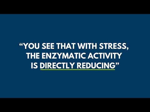 Factors that effect fat digestibility | Feed for speed | 🇳🇱 Olus