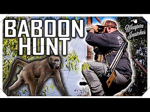 What It Takes To Long Range Hunt Baboons In Africa!!