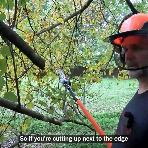 Trying Out The Echo Battery Pole Saw! ECHO USA Honda Motorcycles & ATVs | Stoney Ridge Farmer