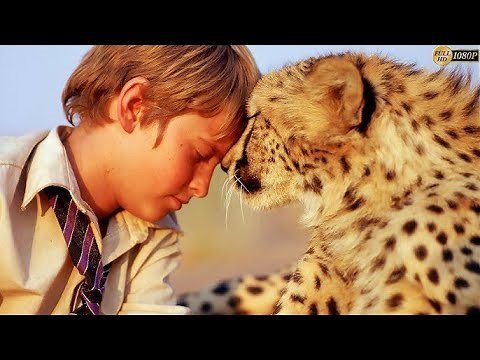 Duma Full Movie Review And Knowlwdge / Campbell Scott / Hope Davis