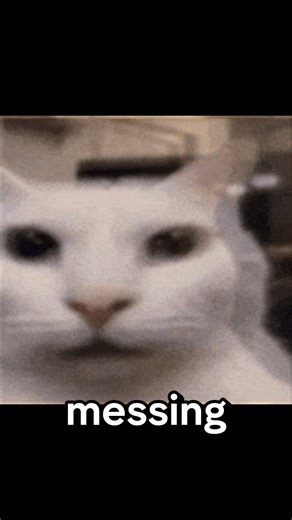 larry has returned... #funny #trending #memes #cat #fyp