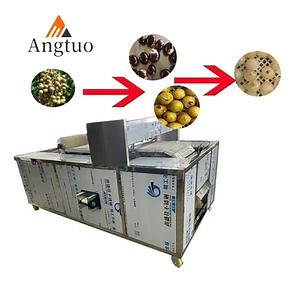 [Hot Item] Cherry Seed Remover Machine Date Olive Hawthorn Fruit Pitting Machine