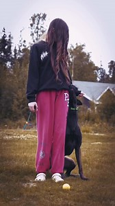 3.1K views · 23 reactions | From Problem Pup to Einstein Dog! Engaging brain games for lasting behavior change. Learn More : https://en-braintrainingfordog.com/ | We Dog Trainer | Facebook