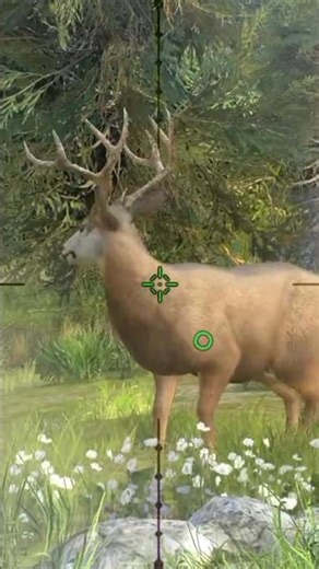 white tailed deer hunting clash way of hunting Hunter clash of #hunthowdown #gaming #gameplay #hunti