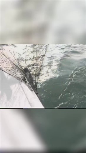 Rob Ray Battles a Monster King Salmon — Hook Bends in Half! Former...