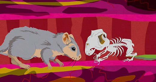 Gerbil Science - South Park | South Park Studios US