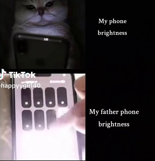 Adjusting Phone Brightness for Better Viewing