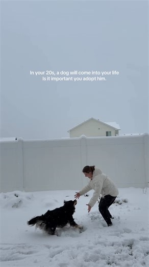 AllAroundAudrey on Instagram: "I’m grateful for him every day 💕 #dogsofinstagram #instadog #inyour20s"