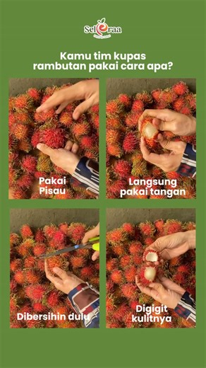 Buah Lokal & Import Premium Makassar|Hampers Buah|Buah Potong on Instagram: "Kamu tim kupas rambutan pakai cara apa? Tulis di kolom komentar yuk🙌 Beli buah premium, buah potong dan rujakan, hampers buah di Makassar sekarang‼️ 📍Seleraa Toko Buah Makassar, Jln. Singa No. 32, Makassar 📞Hubungi minse melalui DM/link di bio ⏰Buka Setiap Hari, 09.00-20.45 WITA #happynyasehat #buahpremium #tokobuahmakassar"