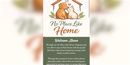 Clark County Animal Shelter launches ‘No Place Like Home’ pet rehoming program