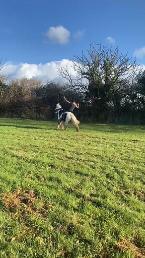 I was recording her on my quad, and she was feeling very excited, so she tried to canter with no hands, but he got spooked by a bush 🤣 caption and video Lilly > Maria: With a request from one of our fans Make sure to follow us @horseloversfails for more fails No hate tolerated!! #horselovers #horsefails #horsefail #horseridingfail #horseridingfails #horses #horseofinstagram #jumping #horsejumping > Maria: 🖼 Photo > Maria: 📹 Video | HorseLovers Fails