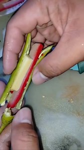 Dynamite Prank Gone wr0ng HAHAHAA🤣 #RICS | RICS