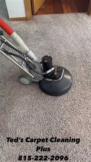 Carpet cleaning stained carpet with rotovac 360i. #carpetcleaning #carpetrestoration