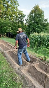 3.3M views · 44K reactions | August Potato Planting 凜. Have a...