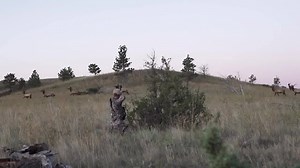65K views · 1.4K reactions | It’s your first morning of archery elk hunting and you’ve set up a great ambush. A group of raghorn bulls start filing past at 45 yards. Do you shoot one of the last bulls in this group or hold out for a bigger bull and more days of hunting? #bowhunting #elk #montanawild #RMEF #septembercalls | Rocky Mountain Elk Foundation | Facebook