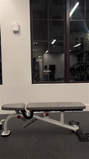 Understanding Lab Work in Fitness Training