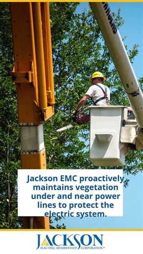 Pruning for Power: Protecting the Reliability You Depend On | #JacksonEMC