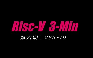 【Risc-V三分钟】第六期：CSR-ID