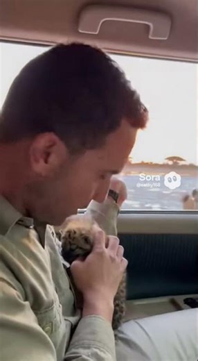 10 Hyenas! Black Panther MOM THROWS CUB to Guide! Scream & Catch!😱 #short