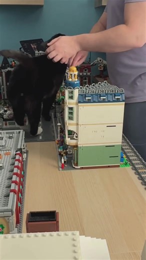 Tried to rebuild the LEGO city… Catzilla had other plans 😼🏙️ #LEGO #Catzilla #AFOL #tiktoklive #livehighlights