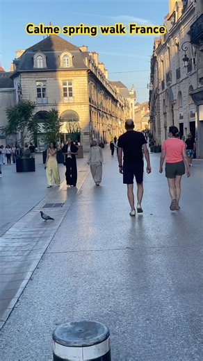 📍France Spring walk #parisroad #travel #france #shortsfeed #shorts #fypシ #india #ytshorts #fyp