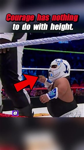 A wrestler under one meter tall dares to challenge a two-meter-two giant.#mma #boxing🥊 #fighting