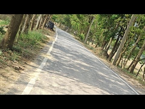 Hello friends Bick travel videos