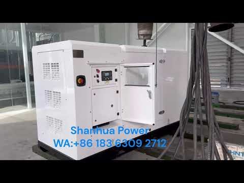 80kva Diesel generator with cummins engine test before delivery