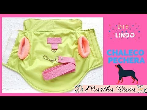 COMO HACER-CHALECO PECHERA PARA CHIHUAHUA -DIY