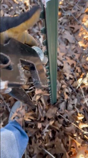 How to remove a t post using a t post puller