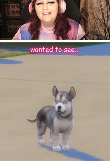 SezRawrr ✨ on TikTok