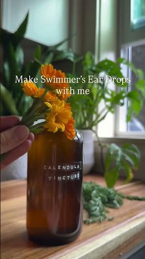 🌿 Swimmer’s Ear Herbal Drops 💦 | Natural Summer Ear Care Remedy