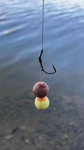 Carp fishing guide rig setup tips