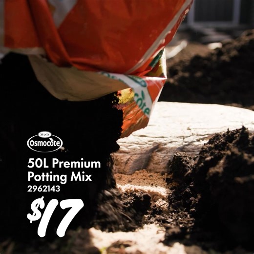 24 reactions | Give D.I.Y. a go this Easter! Check out our D.I.Y. projects and learn how to lay crazy stepping stones.  | Bunnings Warehouse Australia | Facebook