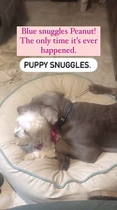 8.5K views · 287 reactions | When I came home for the first time,...