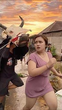 Demonic possession of a bull chasing a bullfighter!! #bull #malangbull #bullfighting