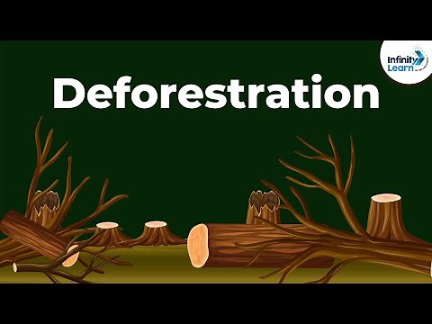 Conservation of Plants and Animals - Introduction | Don't Memorise