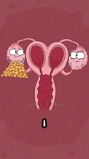 Understanding Ovulation in Simple Steps for Women
