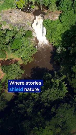 At Uganda’s Ssezibwa Falls, nature is protected not by law, but by belief. Sacred stories and cultural pride keep the forest and waters alive. #Uganda #SsezibwaFalls #sacredspace | DW Environment