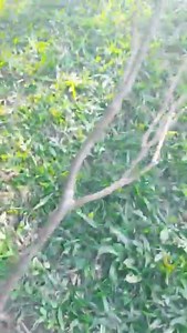 Creating your Seasonal table