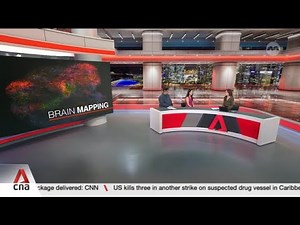 Singapore scientists build detailed map of developing human brain