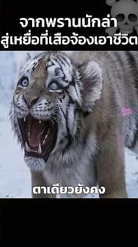 จากพรานนักล่าสู่เหยื่อที่เสือจ้องเอาชีวิต☠️ #สปอยหนัง #shorts