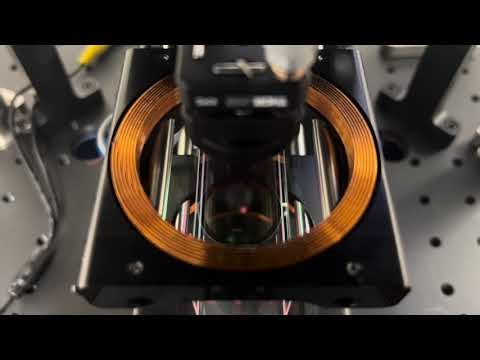 Rubidium Atom Dancing in Infleqtion Magneto Optical Trap (MOT)