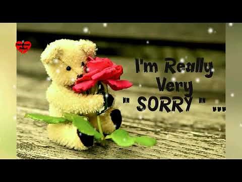 I Am Sorry WhatsApp Status || Forgive Me Status || Feeling Sorry || Status || Quotes || Message