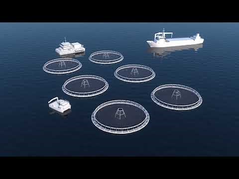 Improving aquaculture sustainability using power from shore