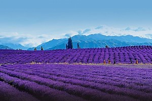 中國6個夏季避暑勝地推薦：「涼都」夏季均溫僅 19°、看「天下第一曲水」 | udn 女子漾