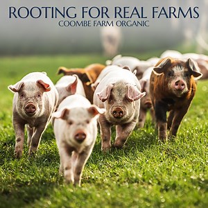 👩‍🍳 James Strawbridge, TV chef, Cornish food enthusiast, and sustainable living expert, sources pork from high welfare farms like Coombe Farm Organic. Their pigs are stress free as they roam outdoors and so never need antibiotics, unlike pigs in factory farms that have to be routinely dosed with antibiotics to survive the unsanitary conditions. 🗣️ James says “We all need to back British farms that have far higher levels of animal welfare and farming standards which not only produce a more del